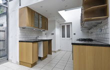 Pangbourne kitchen extension leads